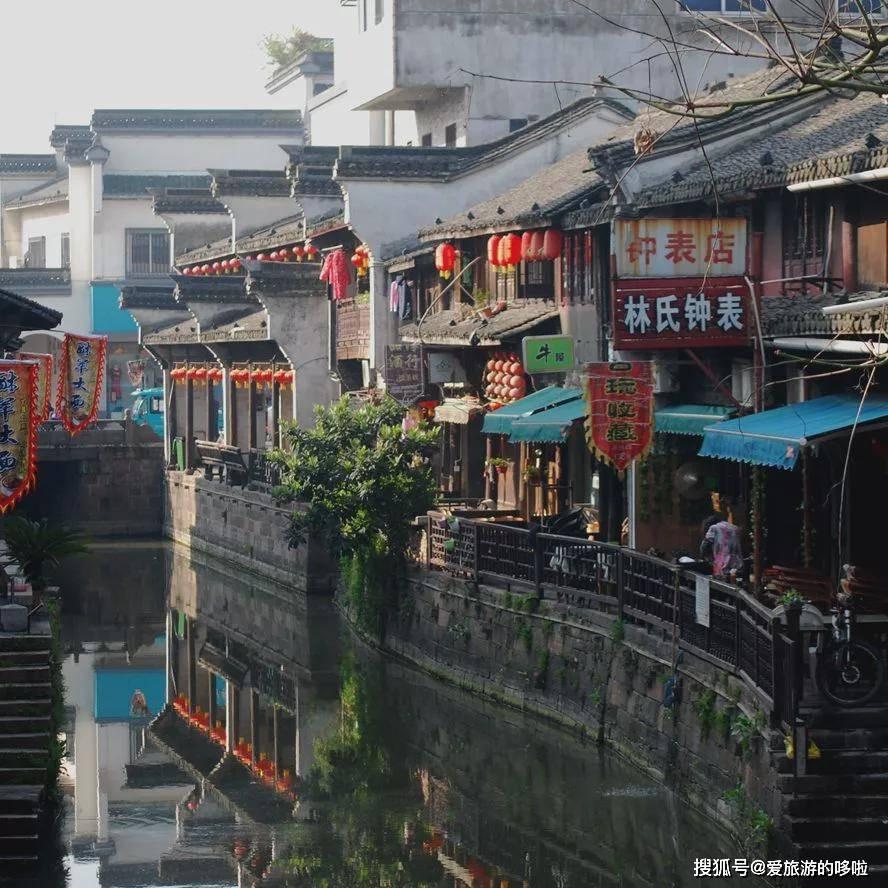 动物帮帮忙保卫家园